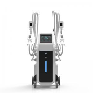 Coolsculpting 4 Handles Fat Freezing Cryolipolysis Body Slimming Machine Vacuum Cavitation System