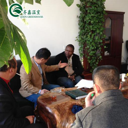 30 x 100 Vegetable Growing Film Covered Multi-span Arch Greenhouse with PO Cover