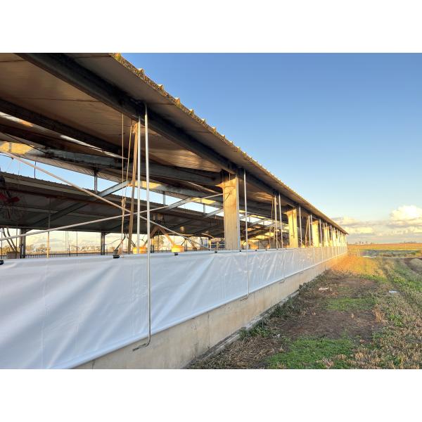 Steel Piggery House Onsite Installation Chicken Shed Construction