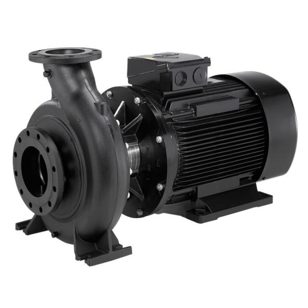Grundfos NBG 65-50-160/177 Industrial Electric Horizontal Single Stage Volute Centrifugal Water Pump for Water Conservancy Projects