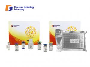China Customized Mouse LR Ob-R Lepr ELISA Test Kit High Precision and Specificity Leptin Receptor ELISA Kit wholesale