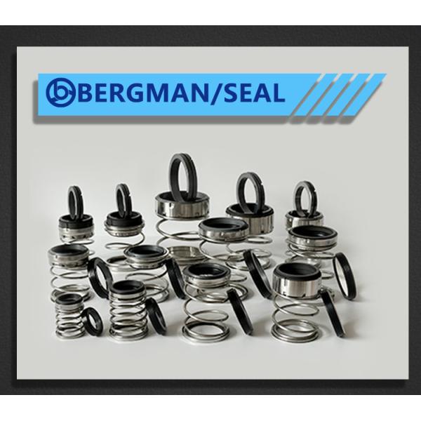 BERGMAN TYPE/T21S Inch Graphite Silicon Carbide Tungsten Carbide Nitrile Viton EPDM Pump Mechanical Seal