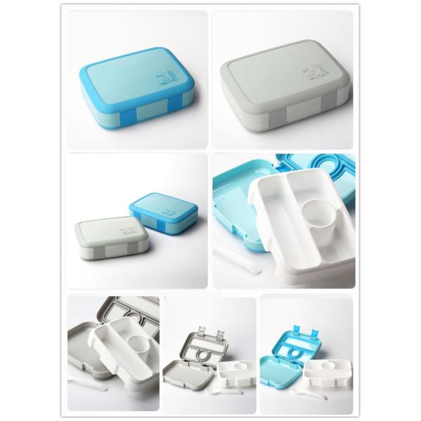 Sustainable 800ml Leakproof Bento Box Safe For Dishwasher And Microwave