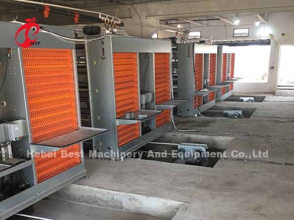 Automatic Battery Poultry Cage Cold Galvanized For Laying Chickens In Africa Market Iris