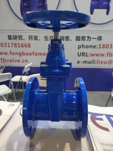 China Water Pressure Ductile Iron Gate Valve QT400 DN100 PN16 Wastewater on sale