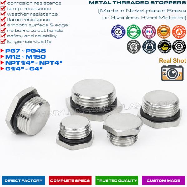304, 316 Stainless Steel (Brass) Round or Hexagonal Blind Plugs Blanking Plugs with PG7~PG48 & M12~M110 threads