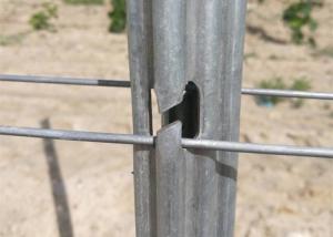China Hot Galvanized Surface Steel Vineyard Posts Rust Resistant And Waterproof wholesale