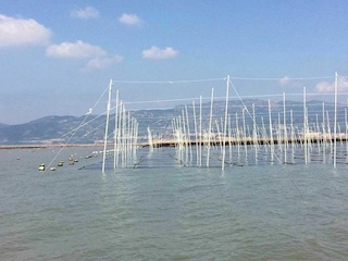 150mm Arrayed Unidirectional Fiberglass Cloth CSM