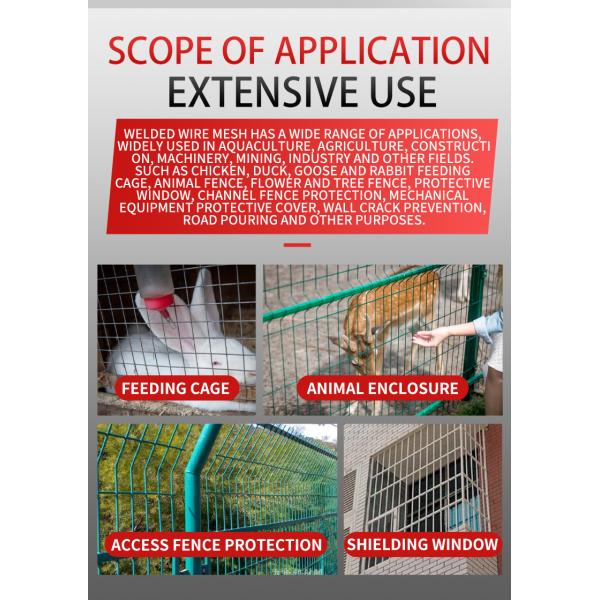 Sell Well New Type factory low price PVC coated wire mesh /Chicken coop wire netting manufacturer