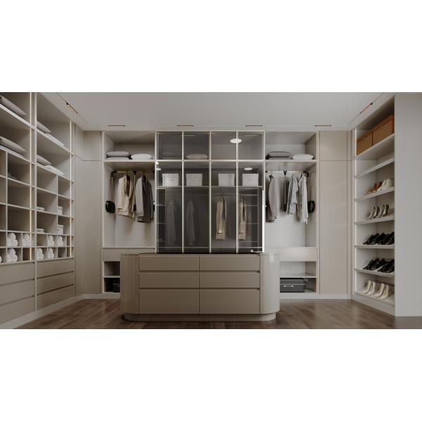 Interior view of high-quality closet storage system
