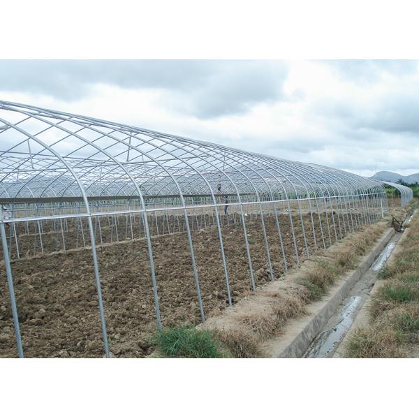 Commercial Plastic Film Greenhouse Hydroponic Hot Dipped Galvanized Steel Structure