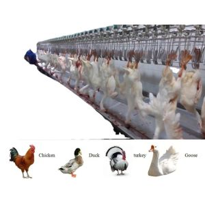 Automatic Small Poultry Abattoir Equipment Stainless Steel Chicken Mobile
