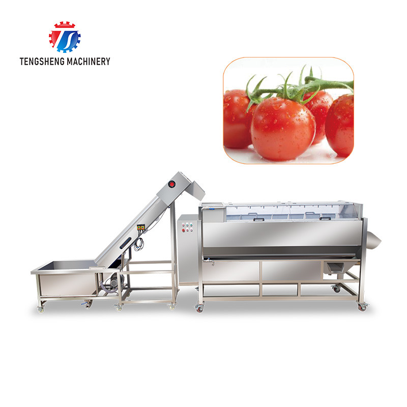 China Multifunctional Fruit And Vegetable Processing Line Hoisting Machine wholesale