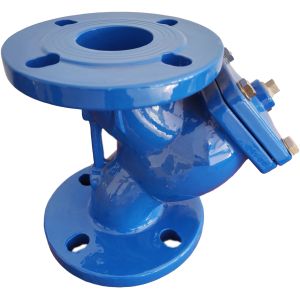 OEM Ductile Iron Y Strainer 2 Inch With SS Screen