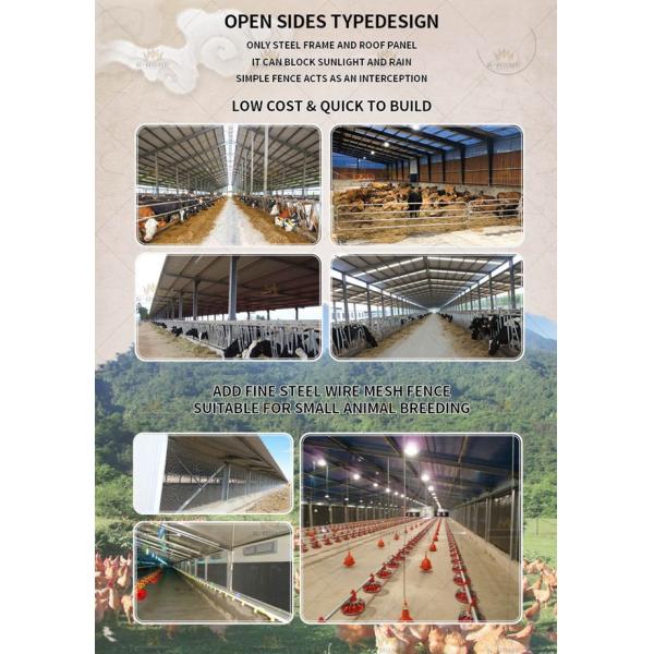 Low Cost Steel Prefabricated Modern Poultry Farm Shed