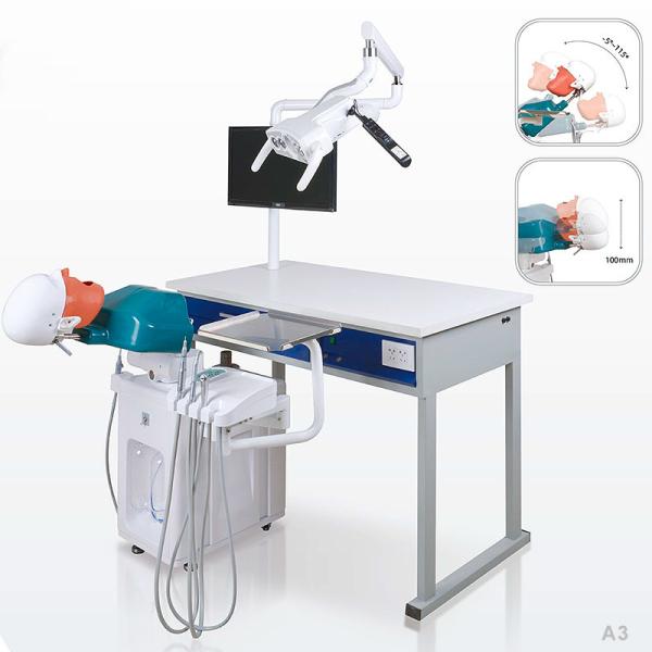 Quality College School Phantom Head Dental Simulator Durable For Dentistry for sale