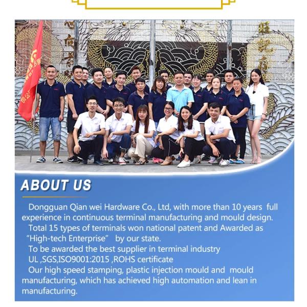 DF250 Flag TYPE Faston Terminal Sleeve Nylon Insulated Wire Harness Flame Retardant 187 250 Hard Sheath