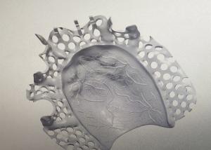 China CAD Design Titanium Alloy Partial Denture Metal Framework wholesale
