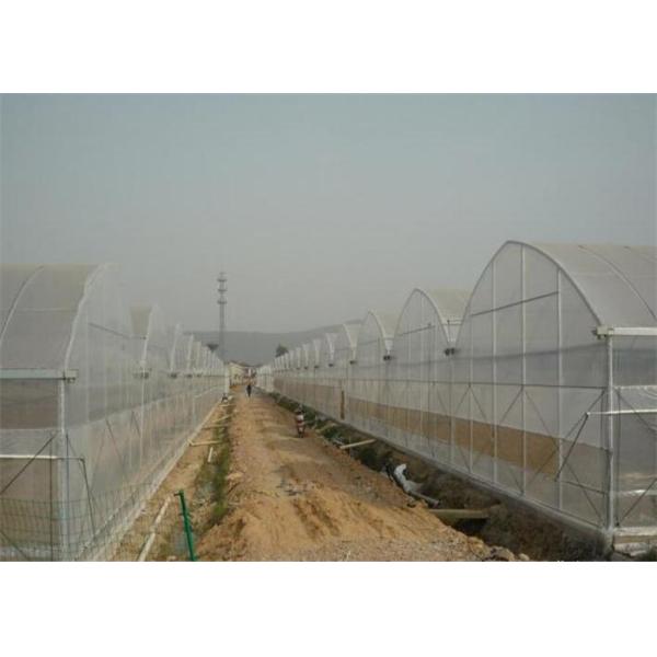 High Strength Plastic Film Greenhouse Galvanized Steel Greenhouse Frame