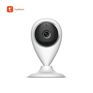 China 720p Indoor Wi-Fi Camera(IPC019) wholesale