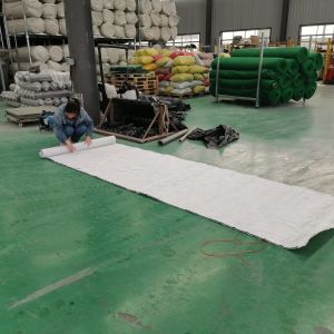 3.4mm-8mm Thickness Landfill Drainage Geonet 3D Composite Solution for Municipal