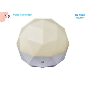 China Voice Controlled Led Night Lamp Speech Recognition Interactive Technology wholesale