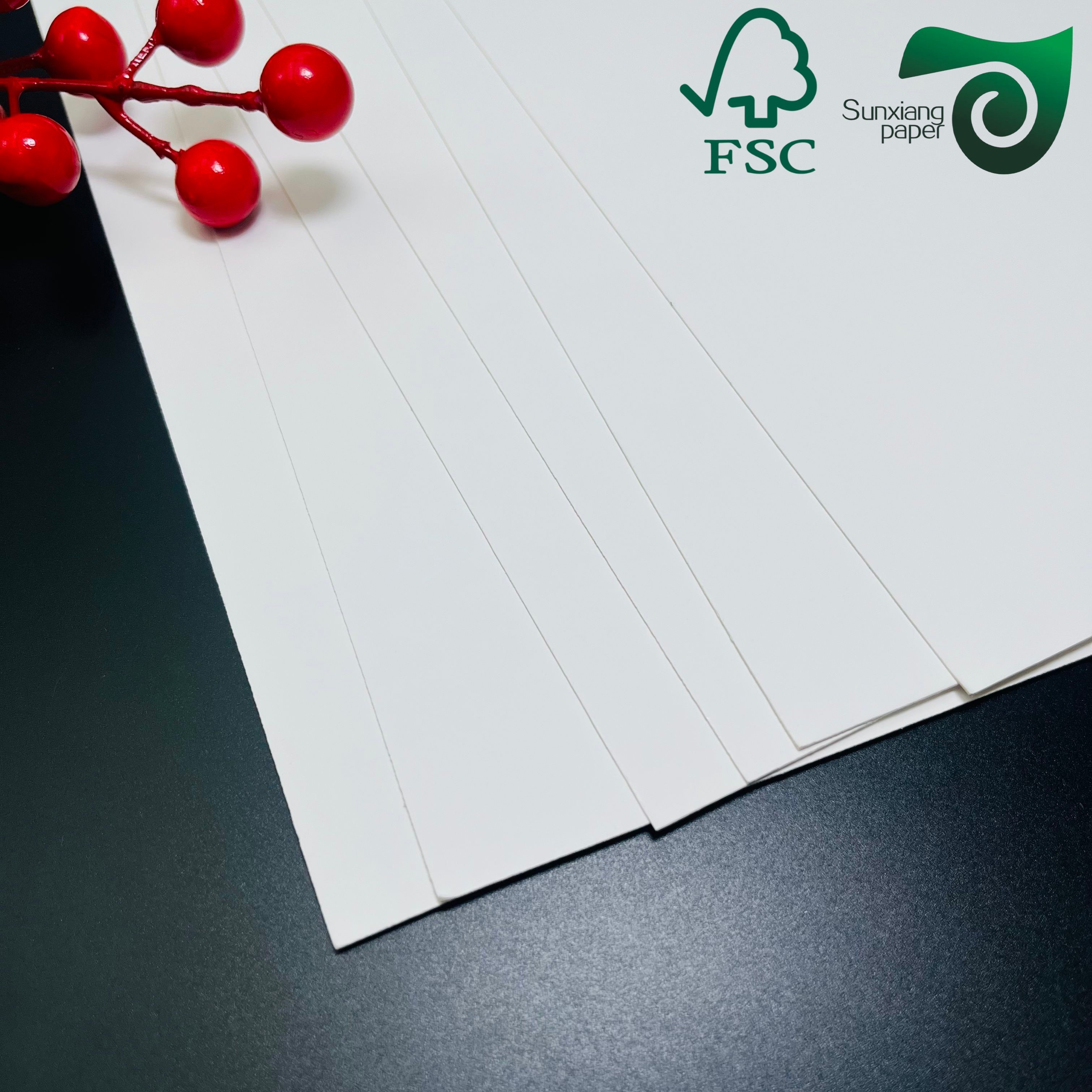 180gsm 200gsm Bristol Board Paper For Handcraft Good Folding FSC Printing Paper