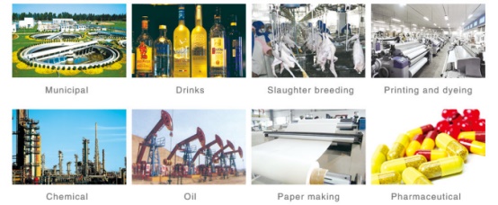 Siemens PLC Controlled TPDL SS316 Sludge Dewatering System for Industrial Wastewater