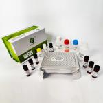 Mycotoxin Ochratoxin A Rapid Test Kit For Feed Grain 96 Wells/Kit Sensitivity 0