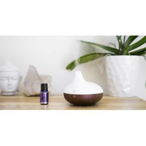 Portable Mini Essential Oil Fragrance Scent Ultrasonic Air Humidifier