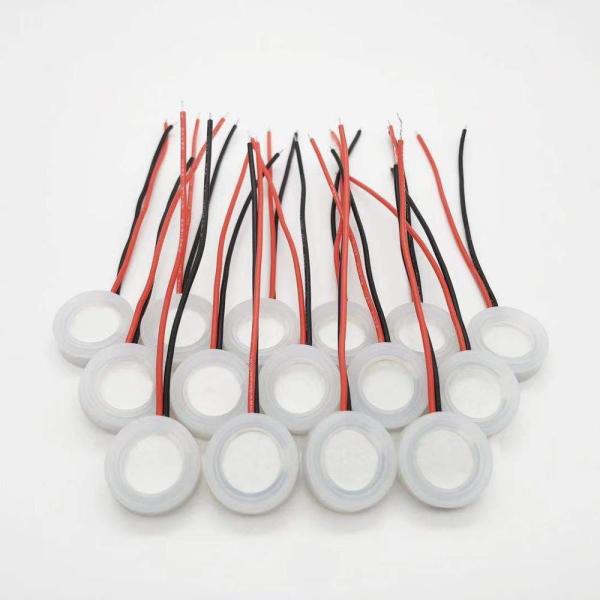 ISO 60mm Cable Ultrasonic Atomizing Transducer Microporous Piezo Electric Disc