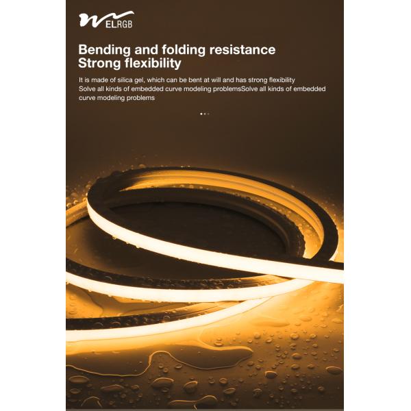 Embedded Silicone Sleeve Neon Led Strip 12V 24V Led Strip Dimmable