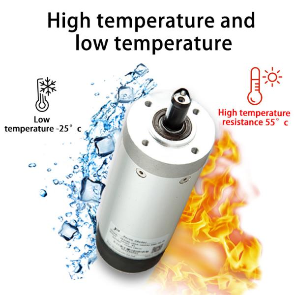 Speed Gate EBS59R 0.5N.M 3 Phase 24 Volt Servo Motor 2400 Lines Encoder