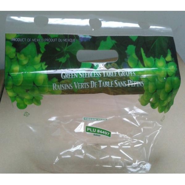 Customized Printing OPP Zipper Gusset Poly Bags with 1kg 2kg 3kg 5kg Vegetables and Fruits Packing