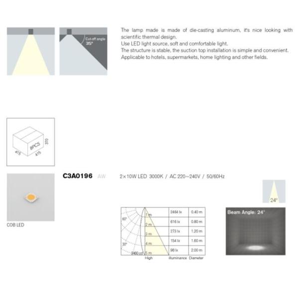 IP44 Double Head LED Ceiling Light 20W Surface Mounted Downlight LED Spotlights