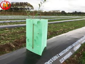 China Lightweight Foldable Triangular Corflute Tree Guards wholesale