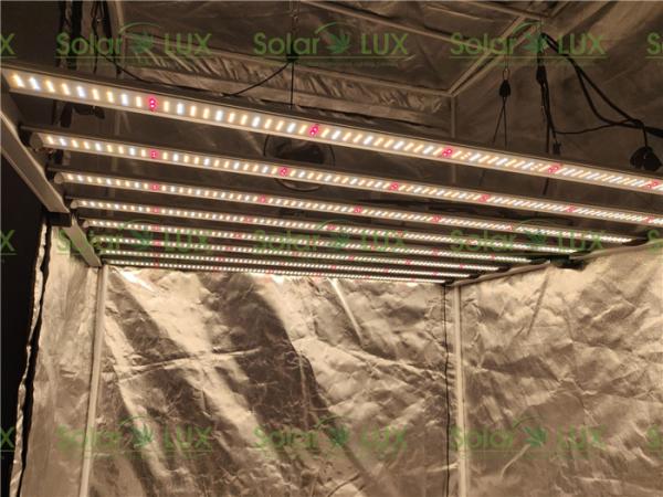 Quality Horticulture Fluence Spydr 2p 650W LED Grow Light Bar for sale