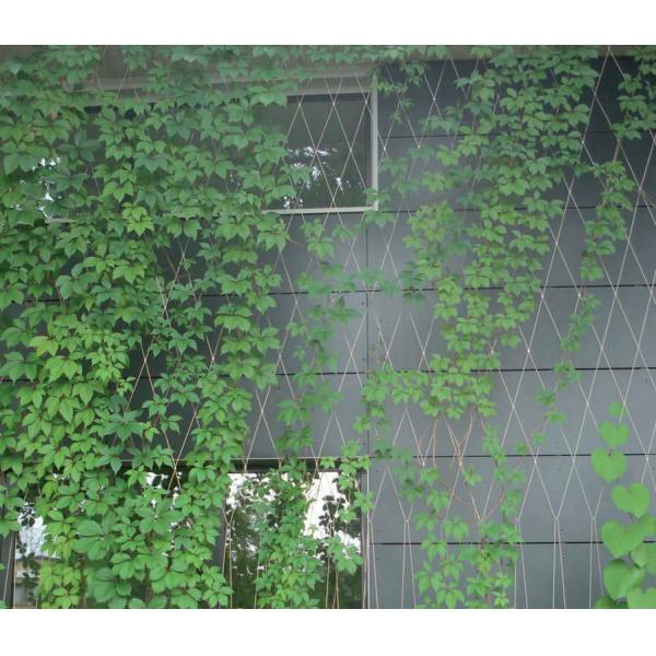 304 316 Plant Climbing 7*7 Green Wall Mesh Clip