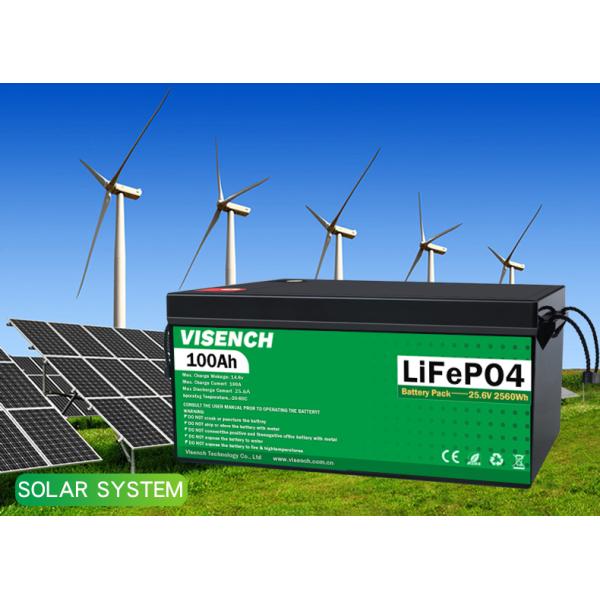 Visench Rechargeable Lithium Ion Batteries 51.2V 100Ah 24 Volt Custom LiFePO4 Battery Pack