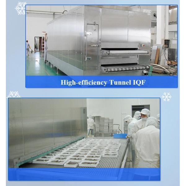 Chicken feet quick freezing contact plate blast freezer machine/cold vertical freezer