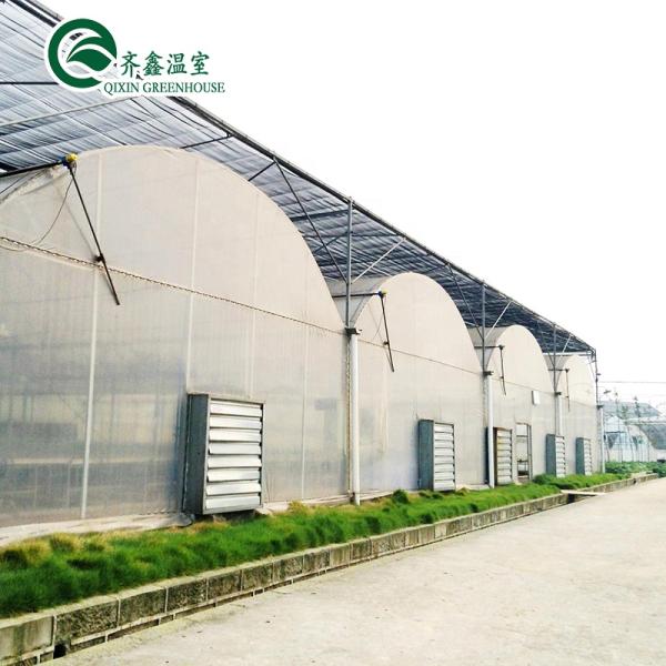 30 x 100 Vegetable Growing Film Covered Multi-span Arch Greenhouse with PO Cover