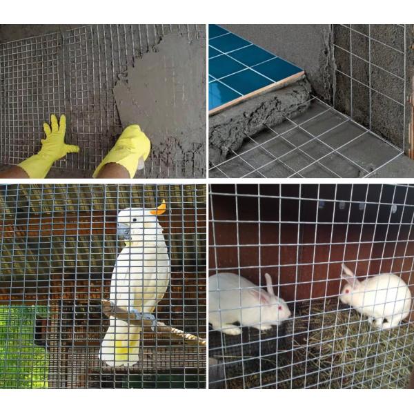 Smooth Surface Silver Electro Galvanized Welded Wire Mesh Rolls 10-15g Zinc Coating