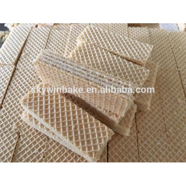 Schneider Transducer Custom Packaging Solutions Biscuit Wrapping Machine