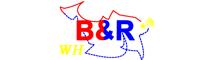 China Wuhan B&R International Co., Ltd. logo