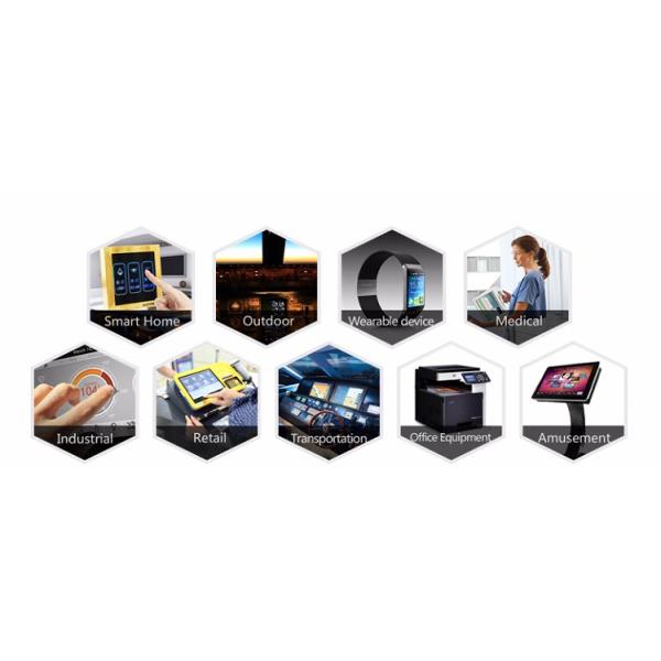 10.1 Inch Ips TFT Capacitive Touch Screen OEM ODM Available