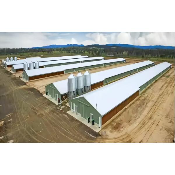 Light Steel Structure Egg Chicken Farm , Prefabricated Steel Chicken Farm
