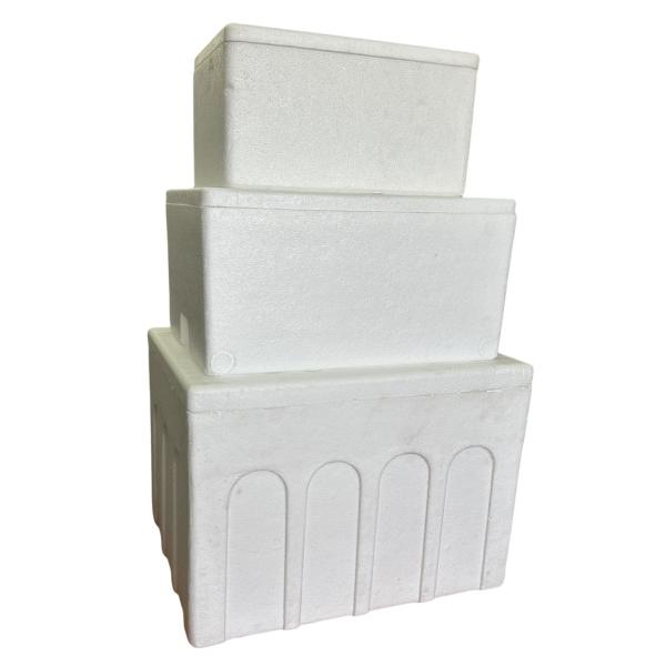 EPS Incubator Cold Chain Transport Foam Box Customization