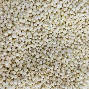 Buy cheap Organic Fritillaria Ussuriensis Maxim Chinese Herbs ISO9001 Certificate from wholesalers