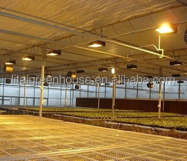 Multi Span Agriculture Greenhouse Height 3m Customized Length 50m