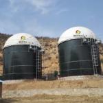 High Efficiency UASB Integrated Biogas Anaerobic Reactor Equipment